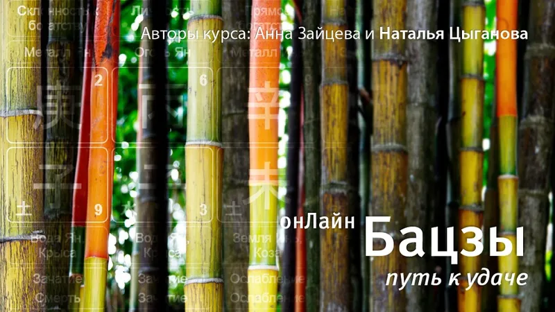 Бацзы ОнЛайн: путь к удаче. Модуль 1