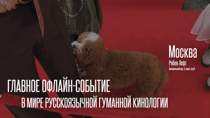 CBCon – международная кинологическая конференция