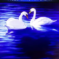 Белваспата. Исцеление Ангелами. Медитации для подготовки к Посвящениям