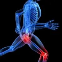 Исцеление суставов и восстановление зубов