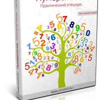 Нумерология. Практический спецкурс