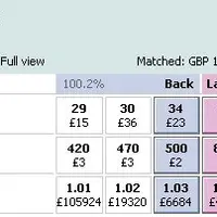 Заработок на Betfair. Система Яна Эрскина