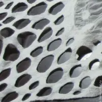 Войлок: уверенный старт