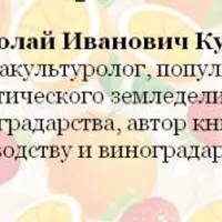 Работы в плодовом саду весной