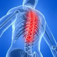 Позвоночник Су-Джок