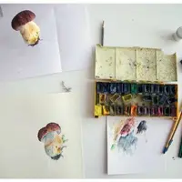 Ботаническая живопись: Грибы