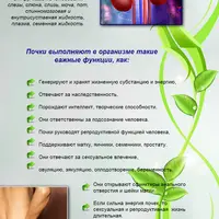 Восстановление почек