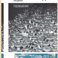 Школа грибоводства - год первый