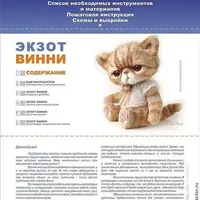 Экзот Винни и оформление головы экзота