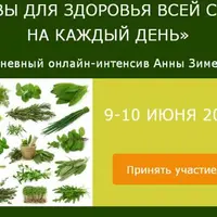 Травы для здоровья всей семьи на каждый день