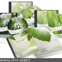 Мастер исцеления