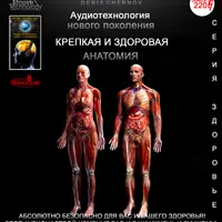 Успех и продвижение в социуме 4: Абсолютное здоровье. Аудиоэнергетики