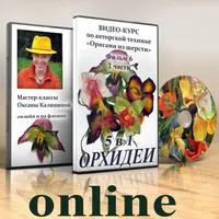 Орхидеи. Оригами из шерсти