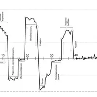 Линия жизни. Практика графического сканирования событий жизни человека