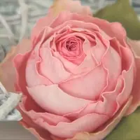 Роза First lady из фоамирана