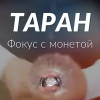 Фокус Таран