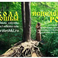 Исцеление рода: преемственность Силы и знаний Рода, прекращение родовых сценариев