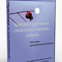 Чувства и состояния: стратегия и методы работы
