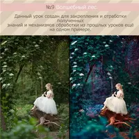 Урок №9 Волшебный лес