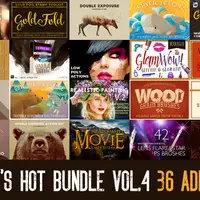 What’s Hot Bundle vol.4 - Add-ons & Effects