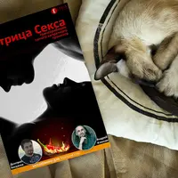 Матрица Секса