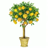 Спецвыпуск - 34. Деньги стихии Дерево. Дублирование: Такты, Года и Дворцы