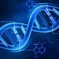 Активация ДНК